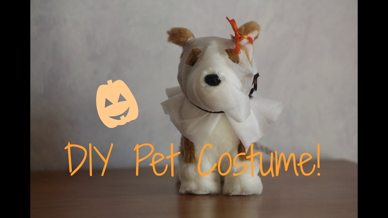 DIY American Girl Halloween Pet Costume! YouTube