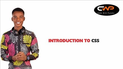 What is CSS? @codewithpunchy