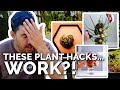 Gardener Reacts to "Plant Hacks" That...Actually Work?!