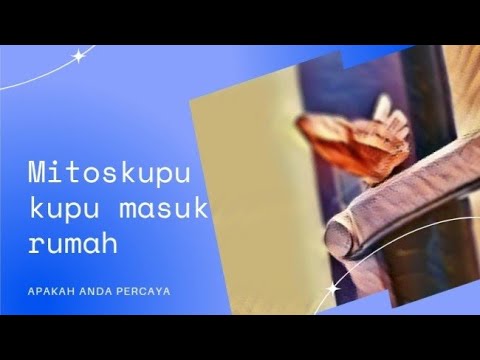 Mitos kupu kupu masuk rumah | - 97