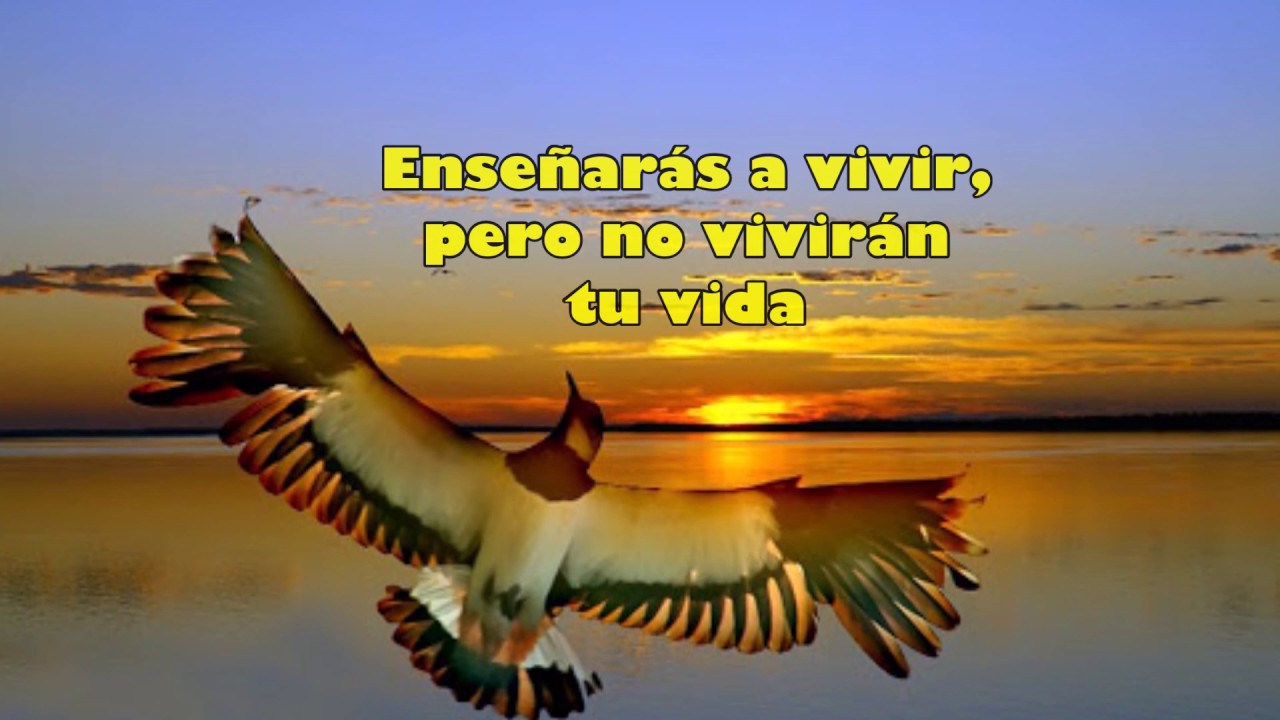 ENSEÑARÁS A VOLAR - YouTube