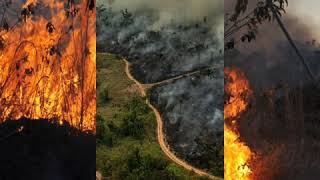 Fire on fire - Sam Smith - queimadas na Amazônia