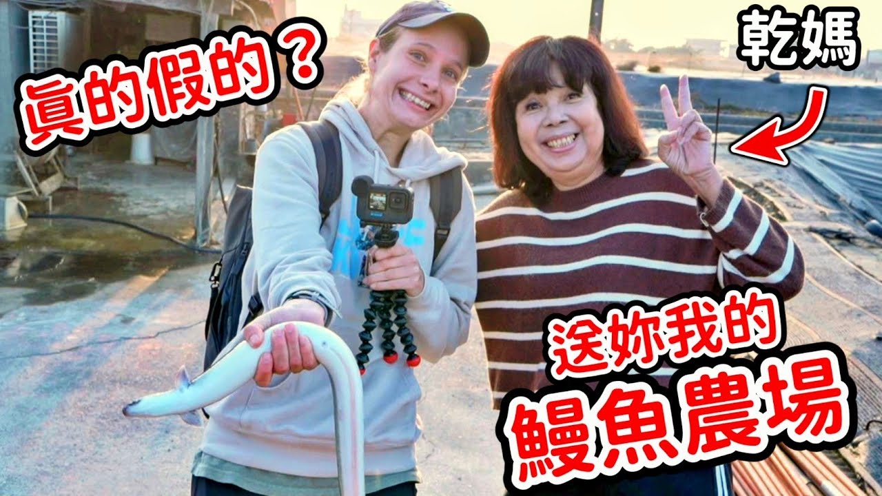 來雲林成為鰻魚公主 這裡靠鰻魚賺進上百億！直擊全台最大養殖鰻魚故鄉！驚人2萬隻鰻魚瘋狂搶食！