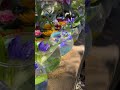 彦島八幡宮の花手水 毎回綺麗だなぁ 彦島八幡宮の花手水 毎回綺麗だなぁ