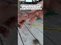 Diy Copper Electrode #diy #chemistry #science #scrap #copper #electrode #lab #howto #hobby