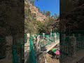 Bro,where are you ? #nainital #nanitaltrip #uttrakhand