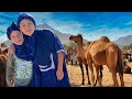 Camel riding adventure in moroccan desert   documentaries for kids