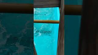the water under the log flume