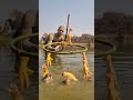 Amazing unbelievable sandman catching underwater fish with trap #fishing #fish #trap #video #shorts