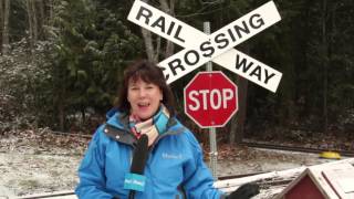 Famous "go! Island" Rides the Train at the BC Forest Discovery Centre - Shaw TV Duncan Wealth