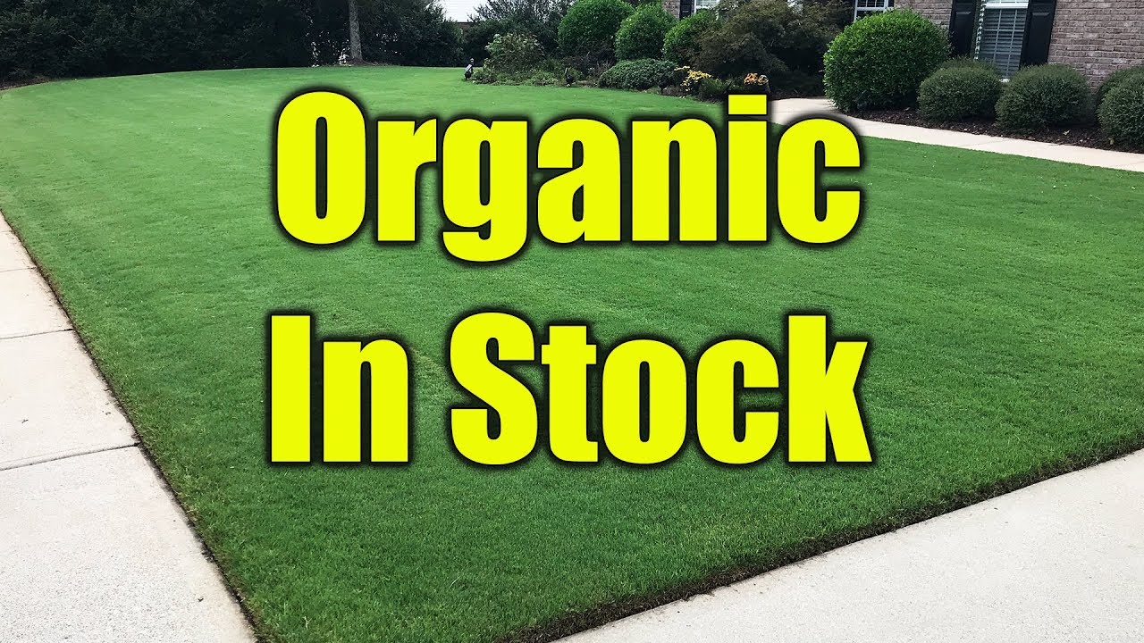 Organic Lawn Fertilizer Update - YouTube