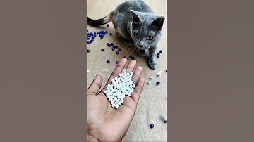 Ice Cube Roll 🧊 With Cat Barsik Reverse Beads 🔴🟡 #cat #reverse