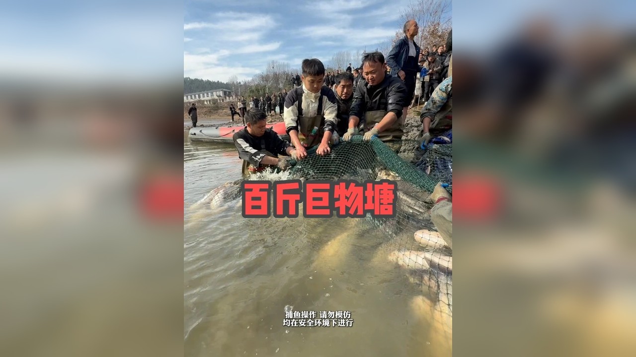 大表哥盘下百斤巨物塘的第一天，拉网有多少鱼？