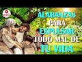 ALABANZAS PARA EXPULSAR TODO MAL DE TU VIDA || MÚSICA CATÓLICA QUE TE INUNDA DE FUERZAS