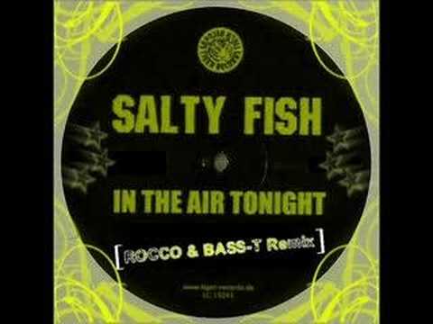 Salty Fish — SALTY FISH - In The Air Tonight 2008 (Rocco & Bass-T Remix)