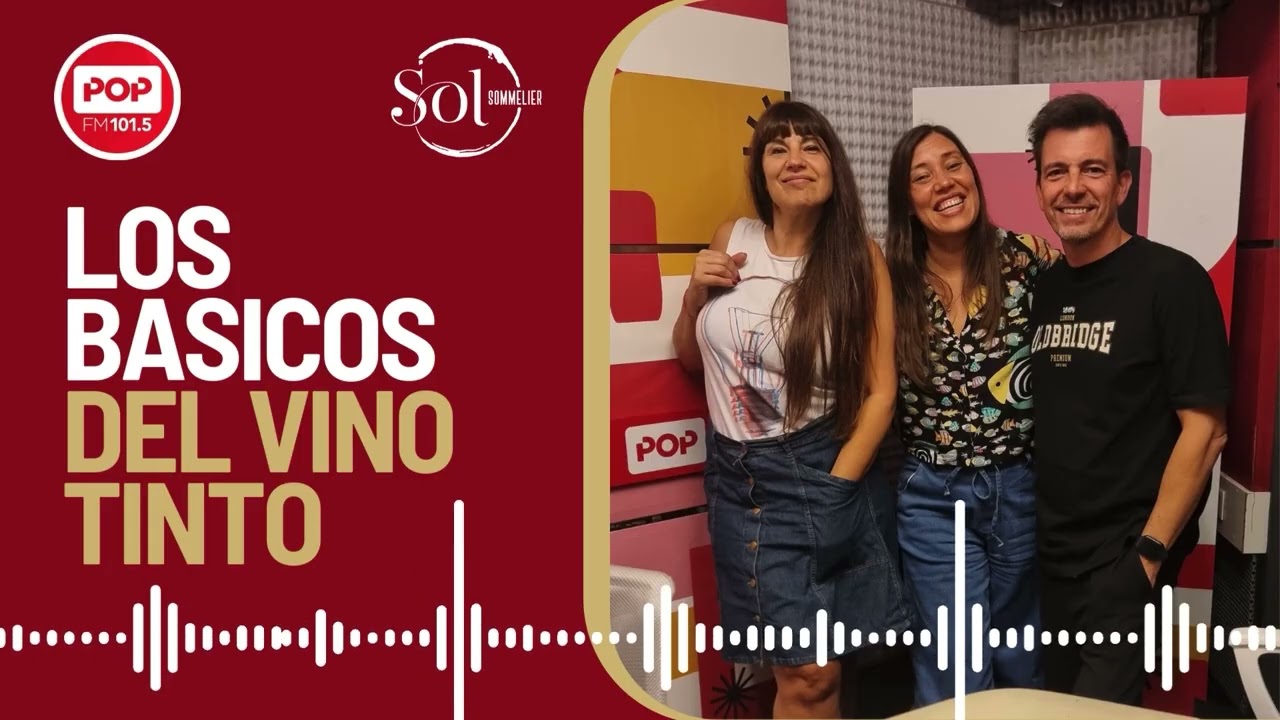 Hoy, todo sobre vino tinto 🍷