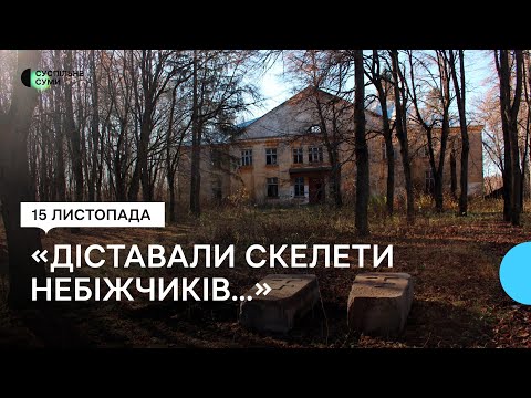 Суспільне Суми: Науковці знайшли та повернули старовинні надгробки на зруйноване за радянських часів кладовище