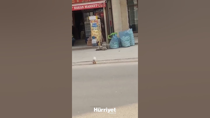 Mardin'de bir kedi marketin önünde bulunan tezgahtan simit alıp kaçtı