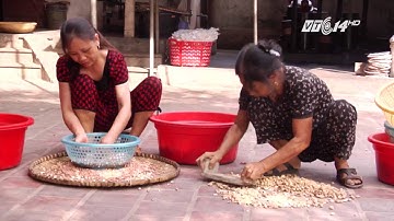 (VTC14)_Cách làm dầu lạc an toàn tại nhà