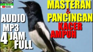 MASTERAN | PANCINGAN KACER | AUDIO MP3 4 JAM FULL | [100 % TERBAIK DAN SANGAT AMPUH]