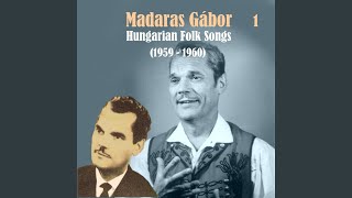 Video thumbnail of "Gábor Madaras - Gyere Bodri kutyam"