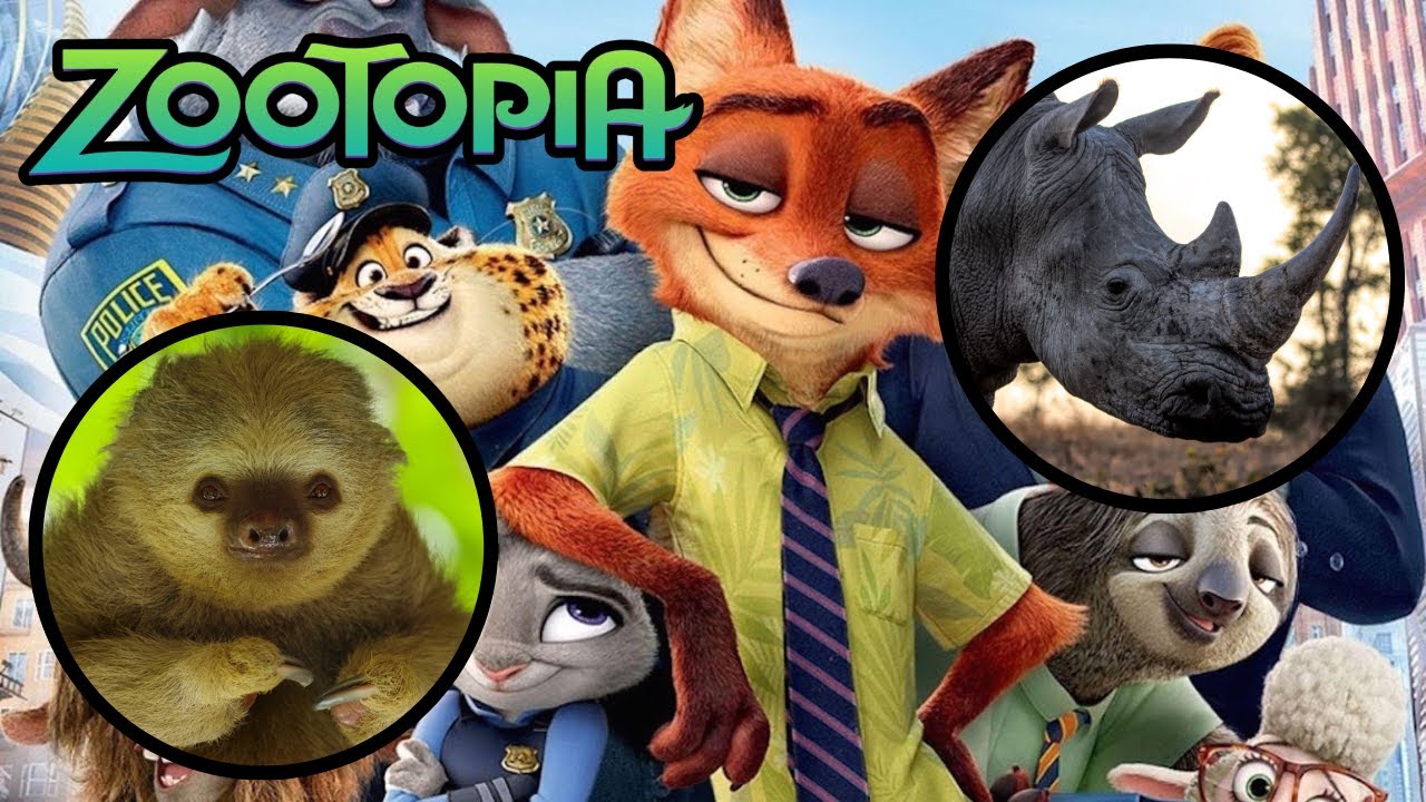 Learn Animals with 'Zootopia' | 02 | Wildlife Adventure | Storyline ...