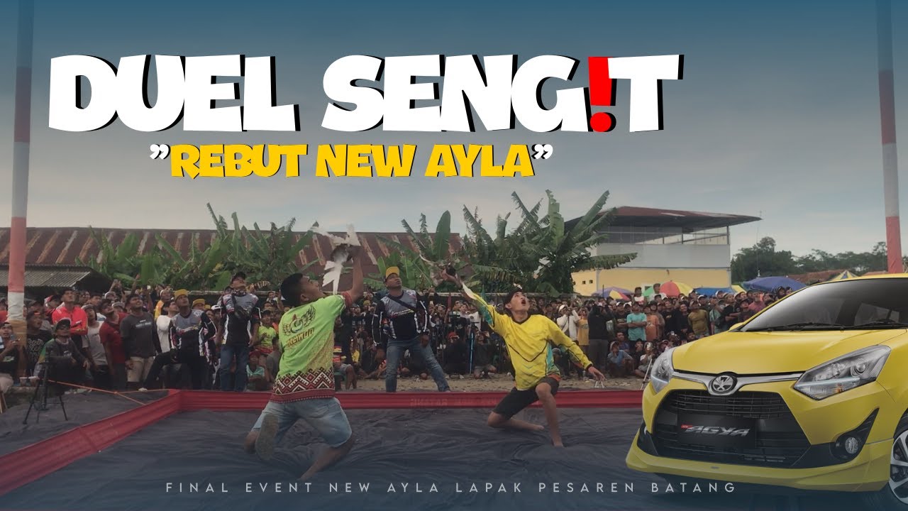 BINTANG MULIA KECOH AMAZON❗FINAL NEW AYLA LAPAK KOLONG PESAREN BATANG 🔥