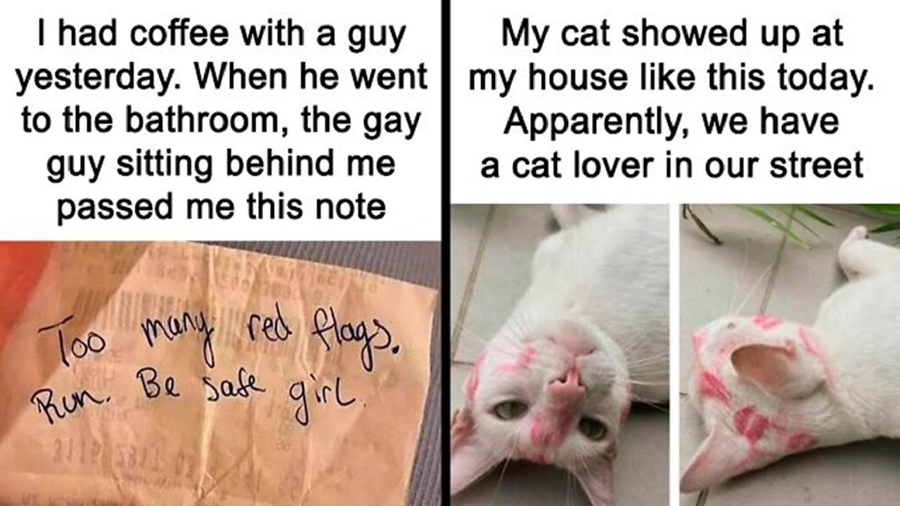 Memes So Funny, They Could Power a Sunny Day | HahaHub