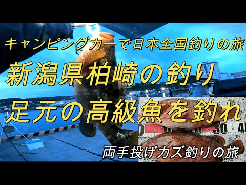 足元の高級魚を釣れ・新潟県柏崎の釣り「キャンピングカーで日本全国釣りの旅」