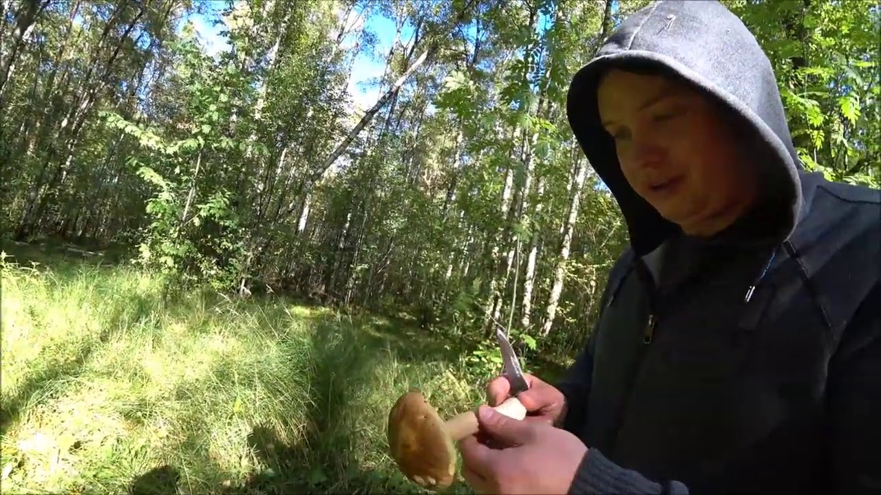 Бабы дрочат в машине