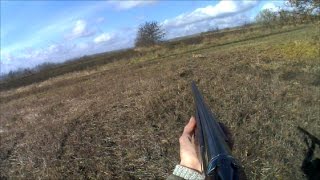 Охота на зайца с подхода 2016 г Открытие сезона Охота на зайца с подхода 2016 г Открытие сезона