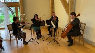 When You Wish Upon A Star - Leigh Harline Ned Washington - Scintillo String Quartet