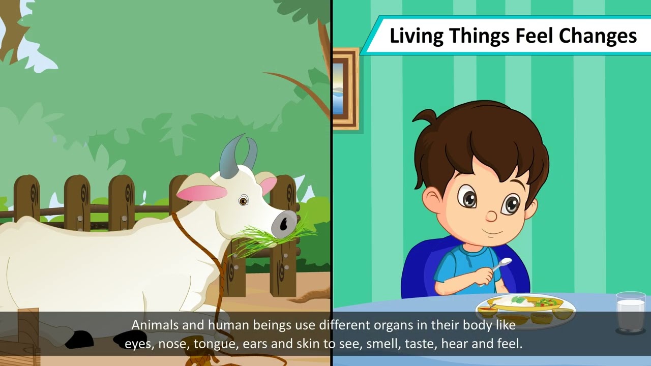 CLASS 3 - SCIENCE - LIVING & NON LIVING THINGS | PRIME THE SCHOOL OF EXCELLENCE