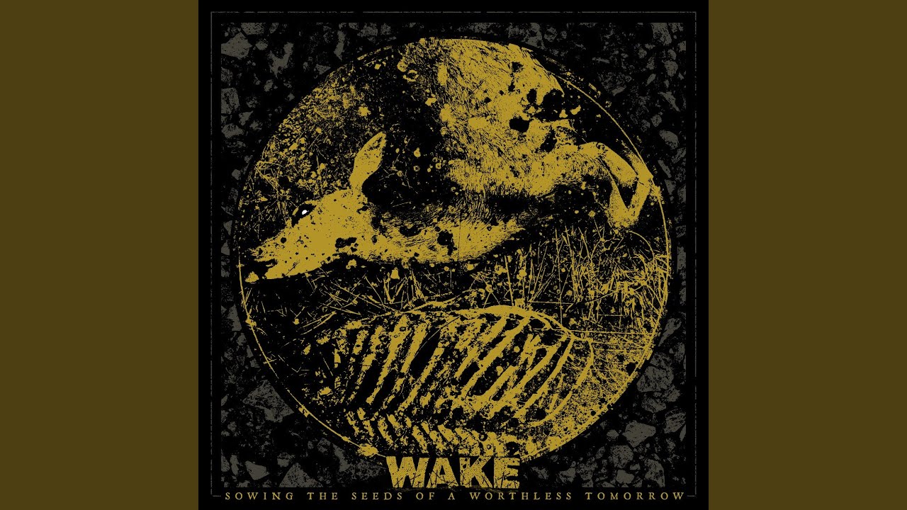 Watch Endless Decay on YouTube Watch Endless Decay on YouTube