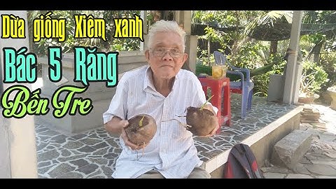 THAM QUAN DỪA XIÊM XANH GIỐNG BÁC 5 RĂNG TẠI BẾN TRE, LỚN TUỔI NHƯNG KINH NGHIỆM TRỒNG DỪA QUÁ ĐỈNH.