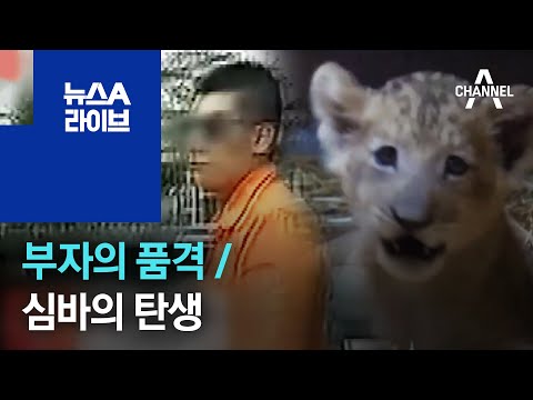 부자의 품격 / 심바의 탄생 | 뉴스A 라이브