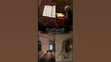 #عبدالباسط_عبدالصمد #سورة_الشعراء #اكسبلور #قرآن #قران_كريم #explore #viral #video #fyp #explore ❤️