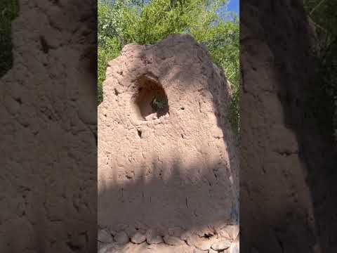 مبنى تراثي على سفح الجبل في تنوف قرب النخيل