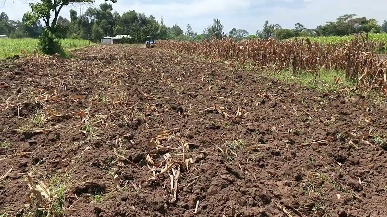 New Holland TT75 BLUE POWER