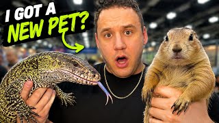 I Couldn’t Believe What They Were Selling at This Exotic Pet Expo! | 10 Gallon Fish Tanks