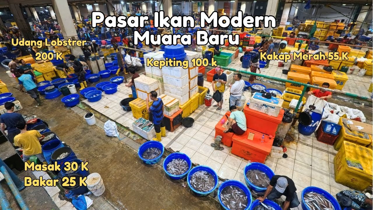 UPDATE TERBARU !! PASAR IKAN MODERN MUARA BARU Tapi Awas Jangan Keliru !!!!