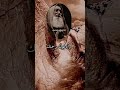 ضاق صدري وقل صبري يارب 