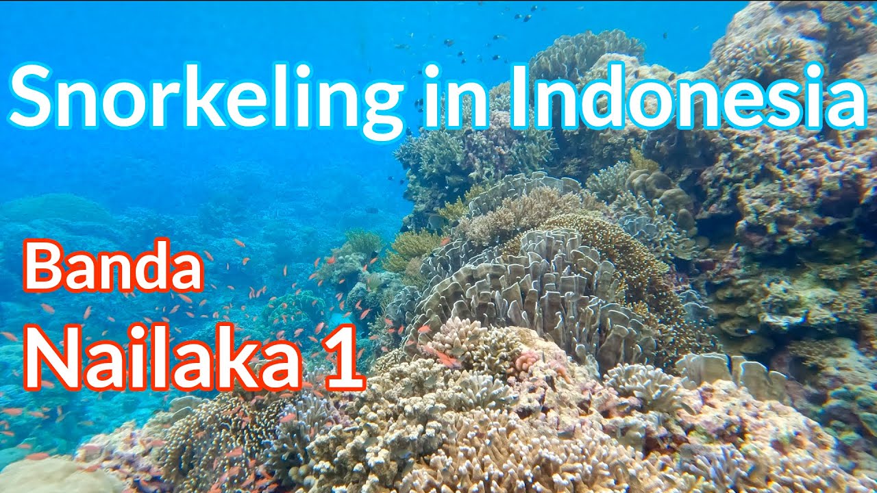 Nailaka, Banda Ep.1 - 4K Snorkeling in Indonesia