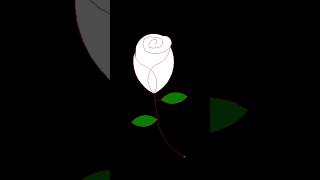 Drawing White Rose Using Python Turtle.  #rose #pythontutorial #youtubeshorts #viral #trending