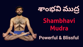 Shambhavi Mudra #ShambaviMudra #AgnaChakra #KundaliniShakti #BhanuPrakash #MudraBhanda