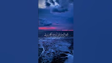 قُل لَّوْ كَانَ ٱلْبَحْرُ مِدَادًا لِّكَلِمَٰتِ رَبِّى|سورة الكهف|#اسلام_صبحي#قرآن#قران_كريم #الله