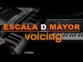 CLASE EN VIVO - Voicing Escala D MAYOR