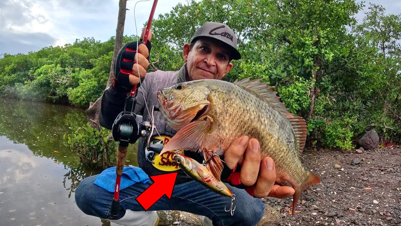 INCREIBLE PESCA con ESTE SEÑUELO FABRICADO a MANO Parte 2