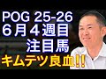 【POG/25−26】6月4週目デビューの注目新馬を紹介【夏競馬スタート‼️サンデーR×木村厩舎の良血ロスパレドネスが登場!】