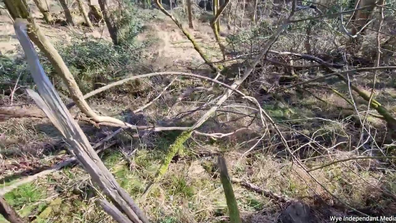 Another derelict house on the south side of Coppet Hill!
